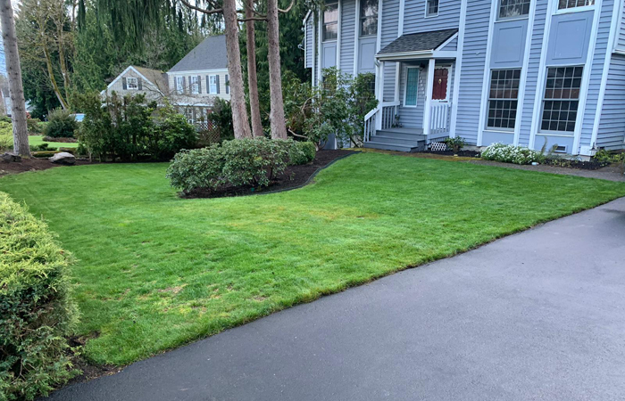 landscaping services in redmond wa